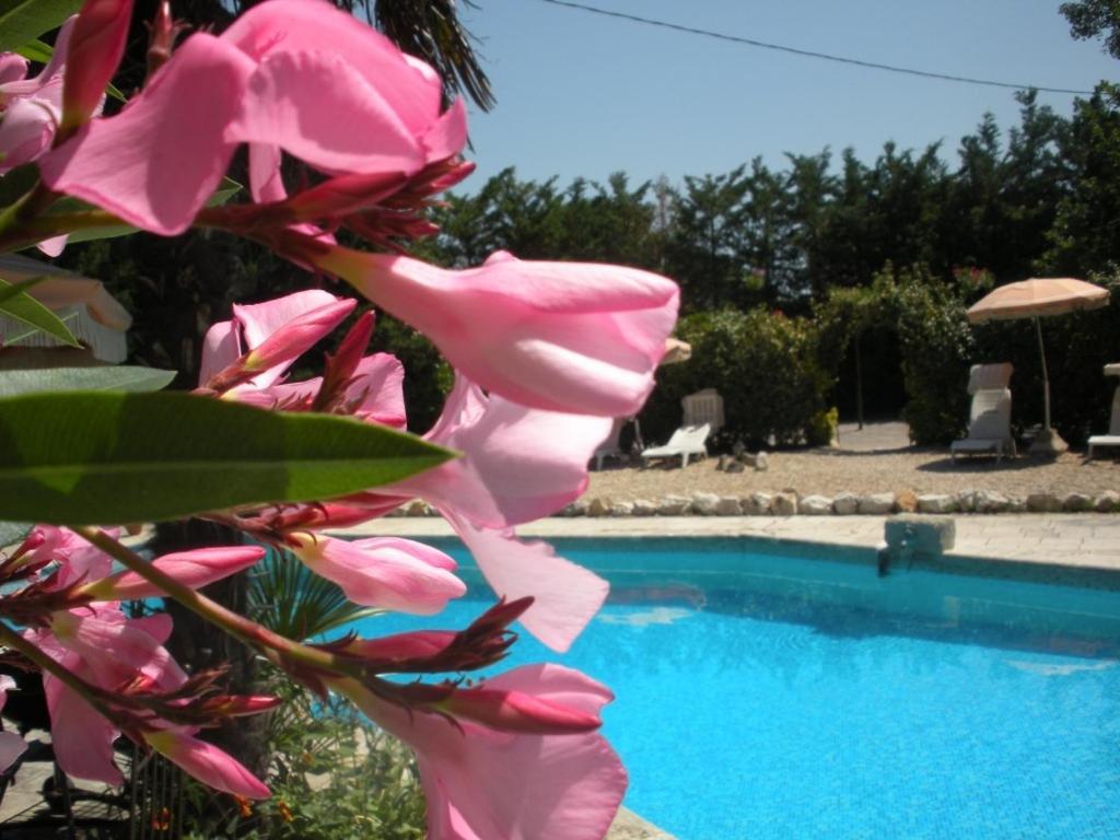 Gites Climatises Piscine Chauffee La Balancelle Сен-Реми-де-Прованс Экстерьер фото